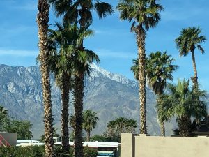 IMG-0754